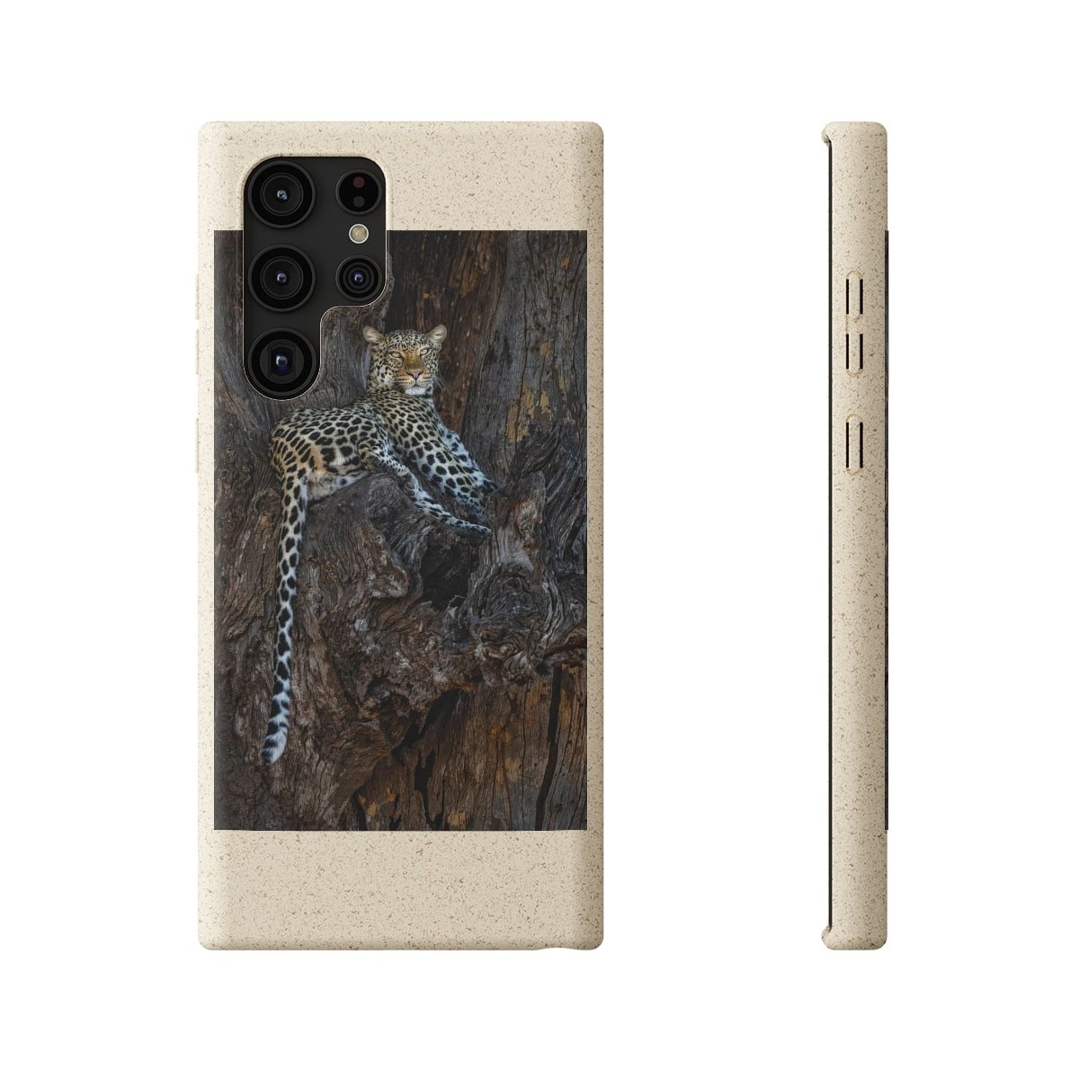Biodegradable Cases
