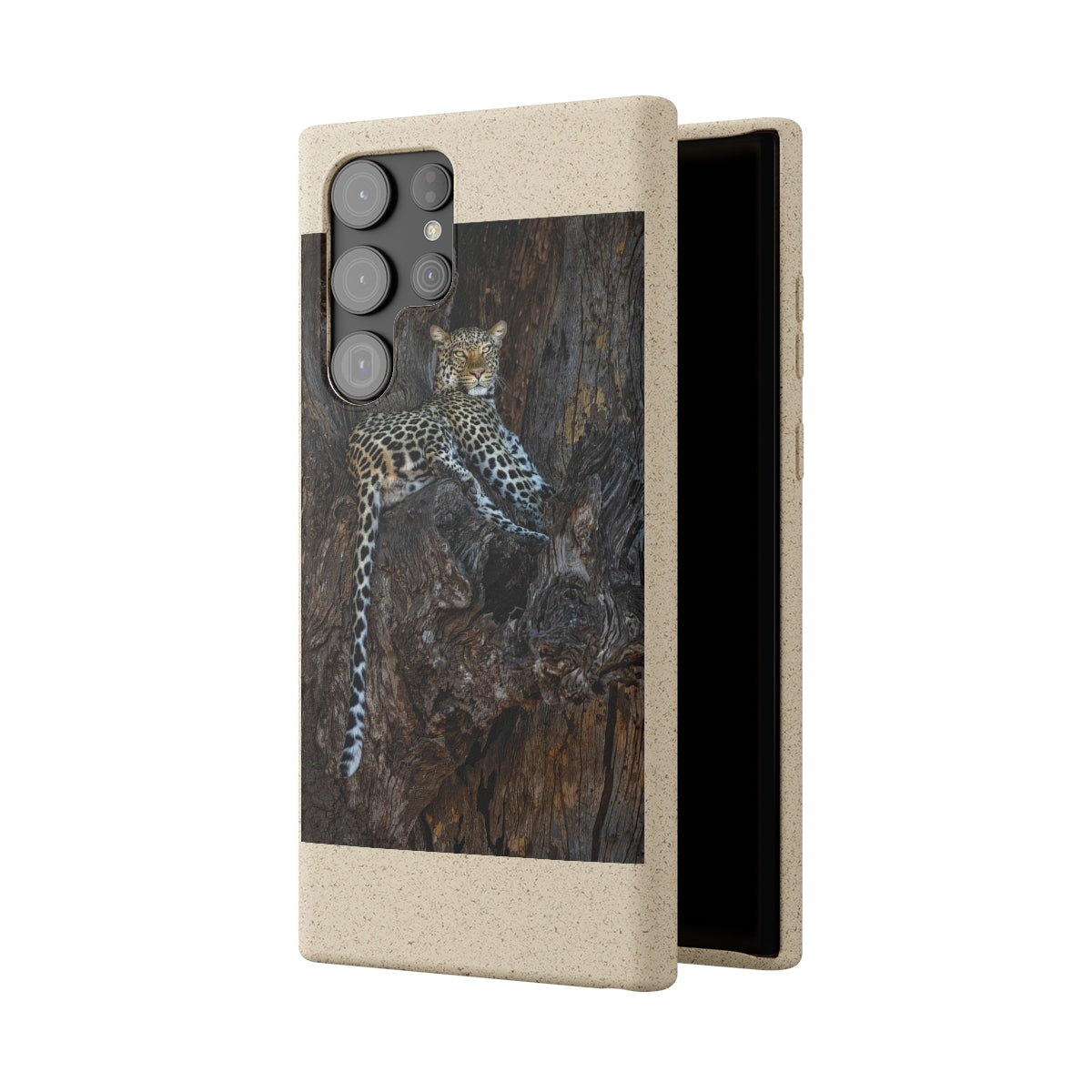 Biodegradable Cases