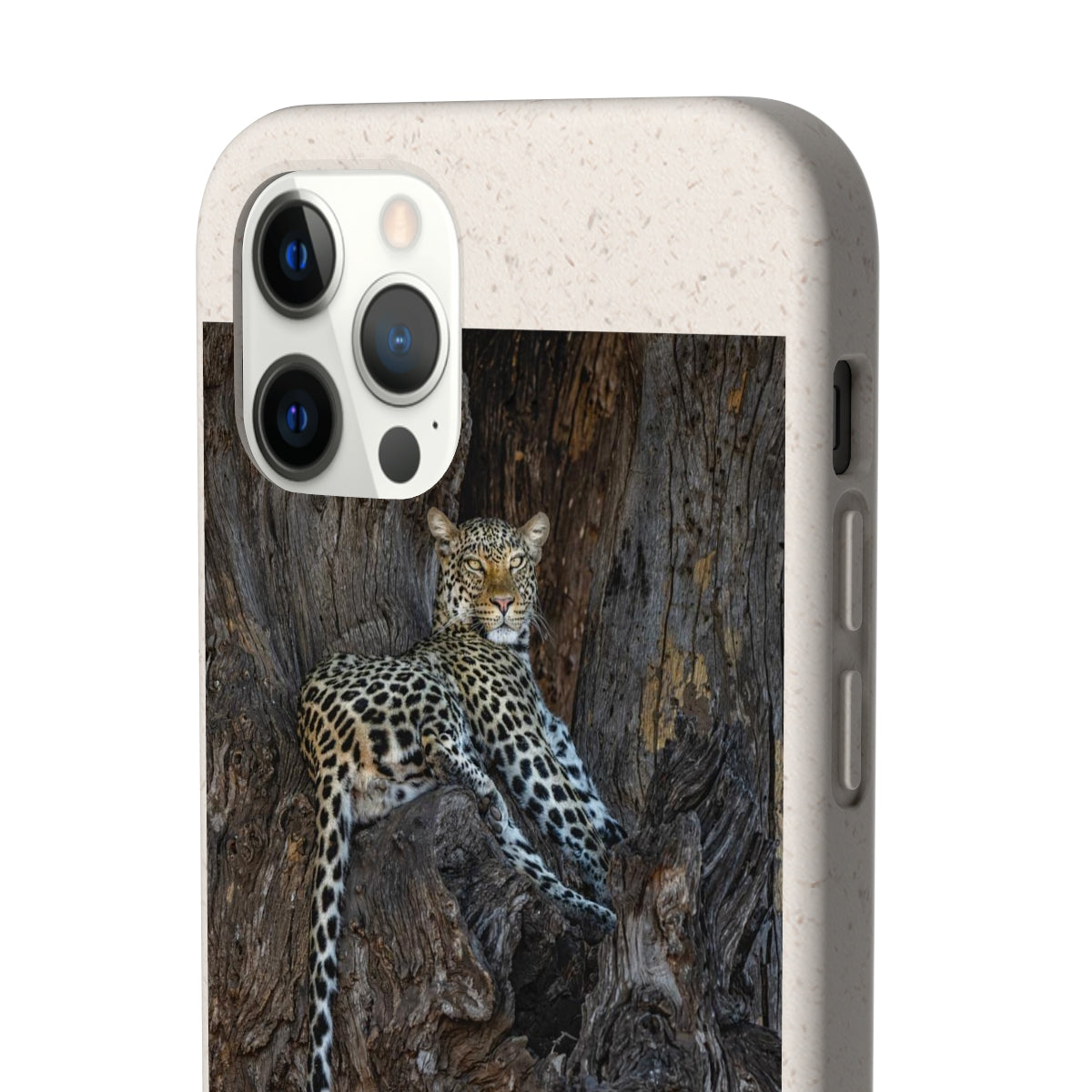 Biodegradable Cases