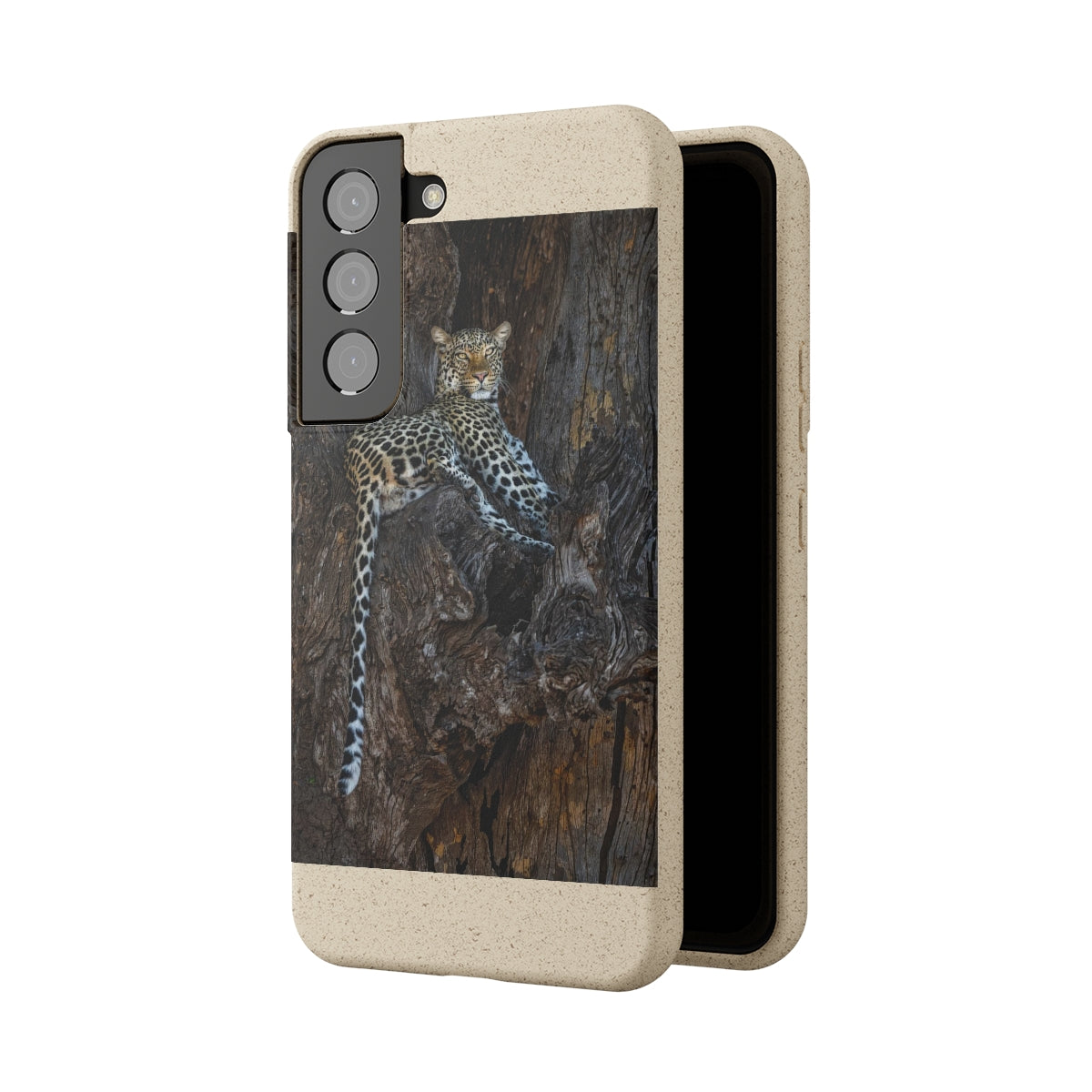 Biodegradable Cases