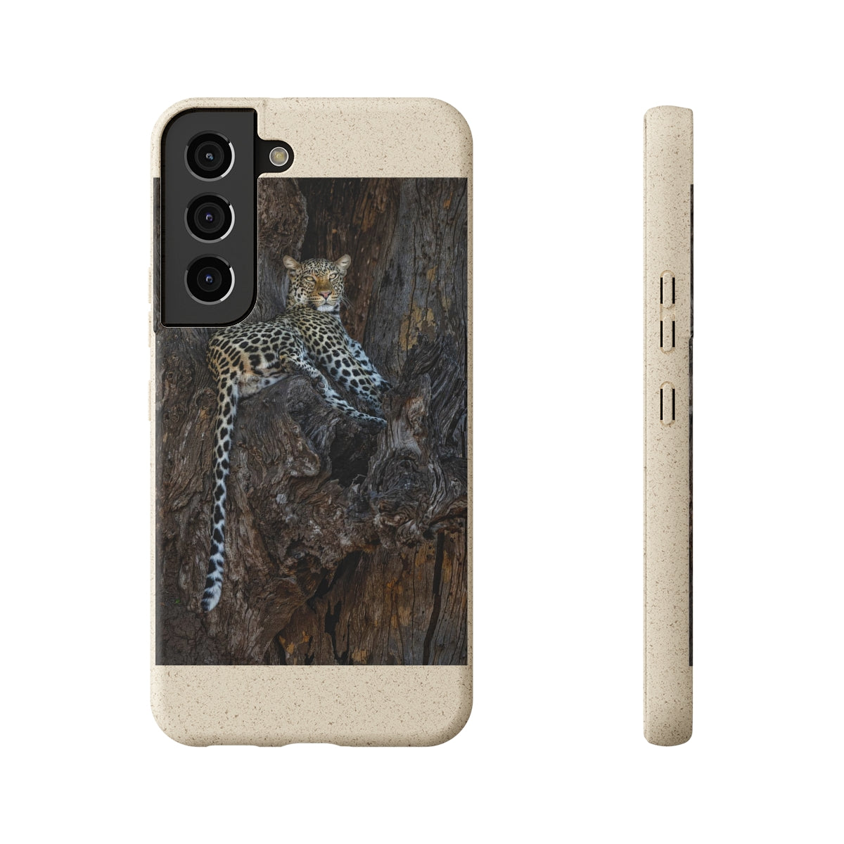 Biodegradable Cases