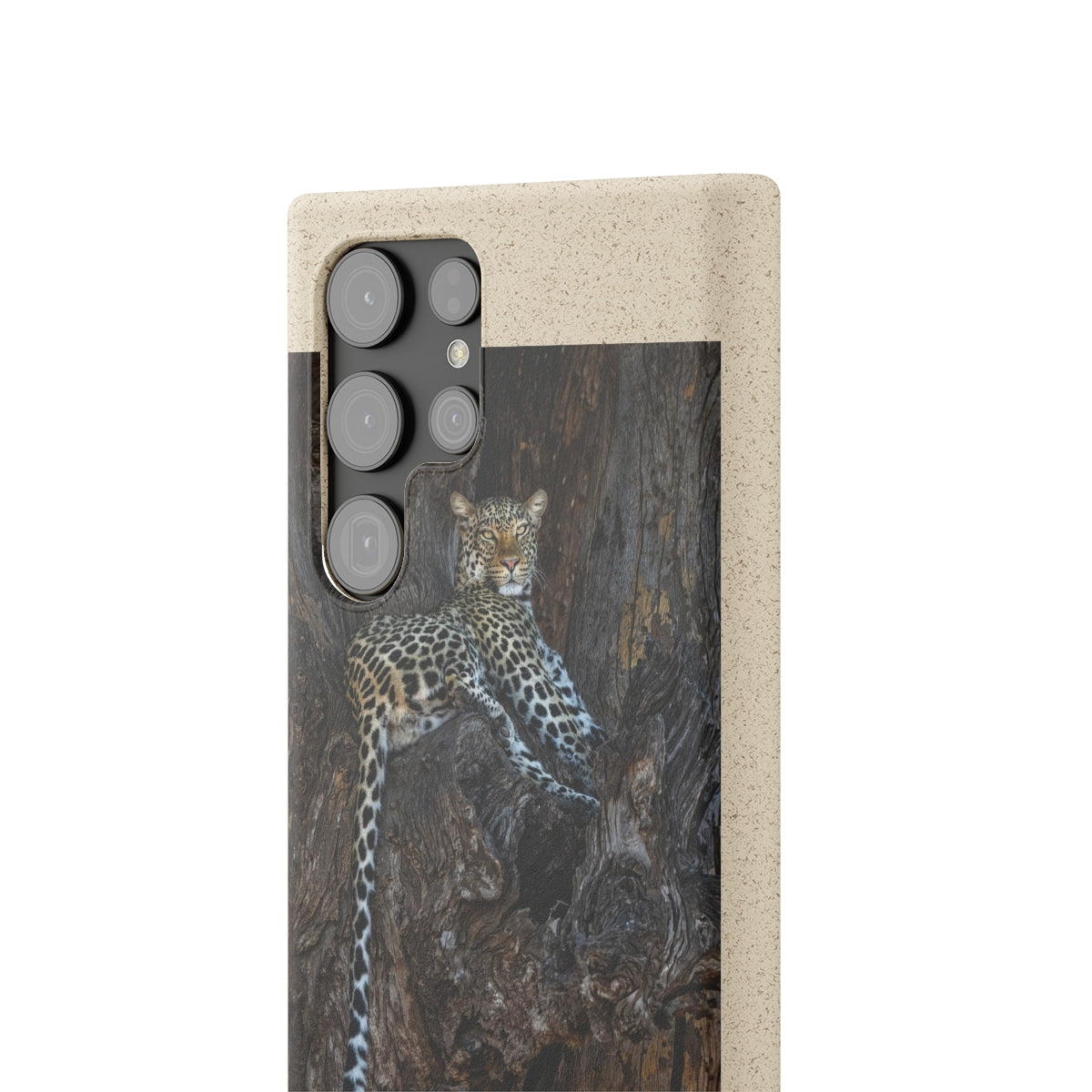 Biodegradable Cases