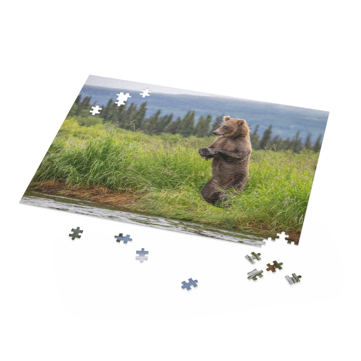 Puzzle (120, 252, 500-Piece)