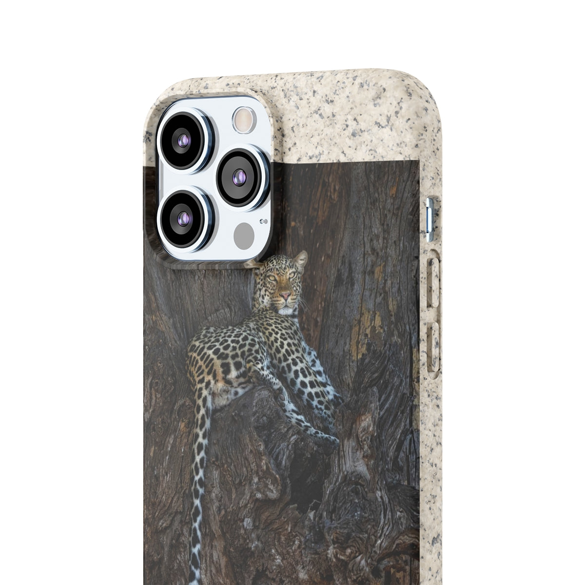 Biodegradable Cases