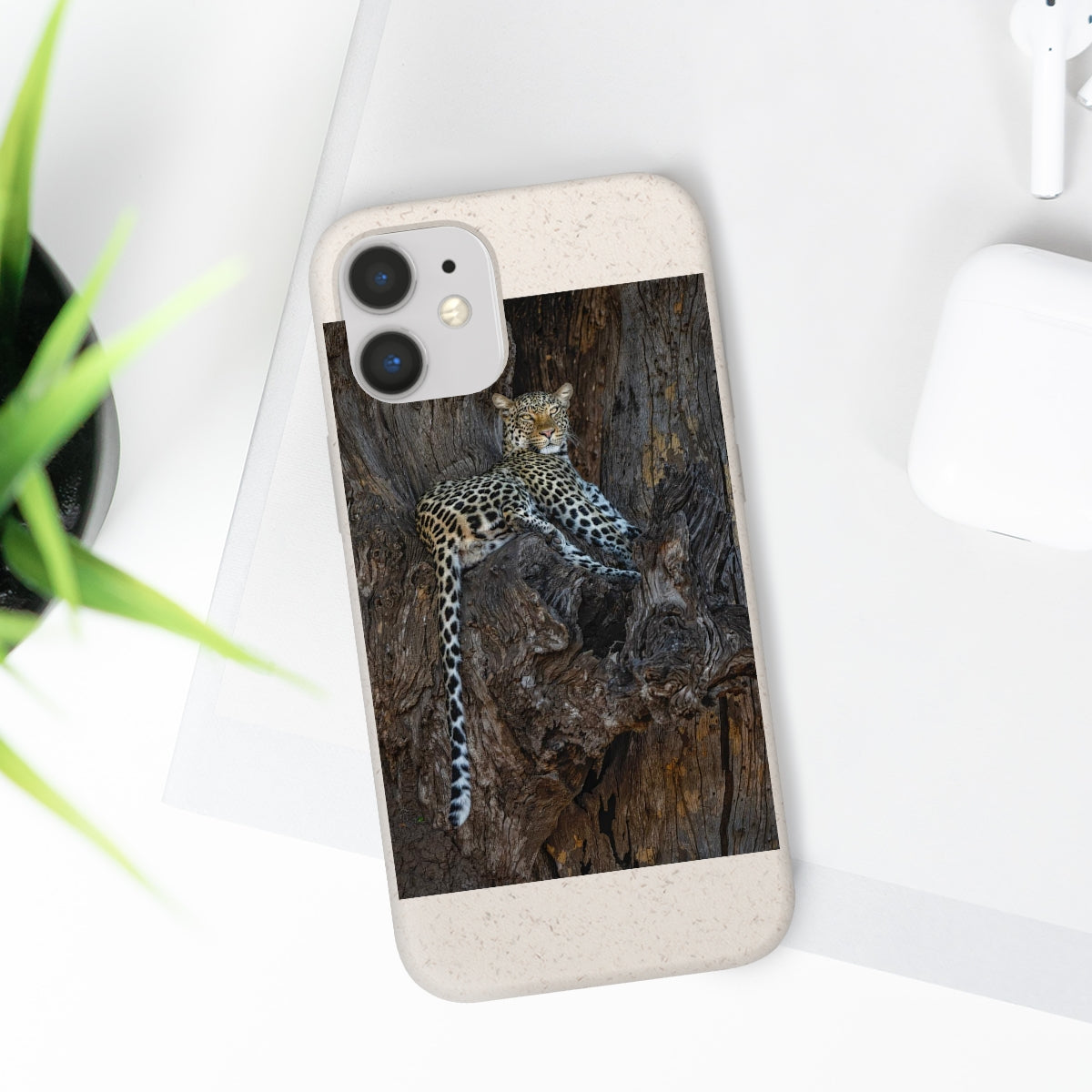 Biodegradable Cases