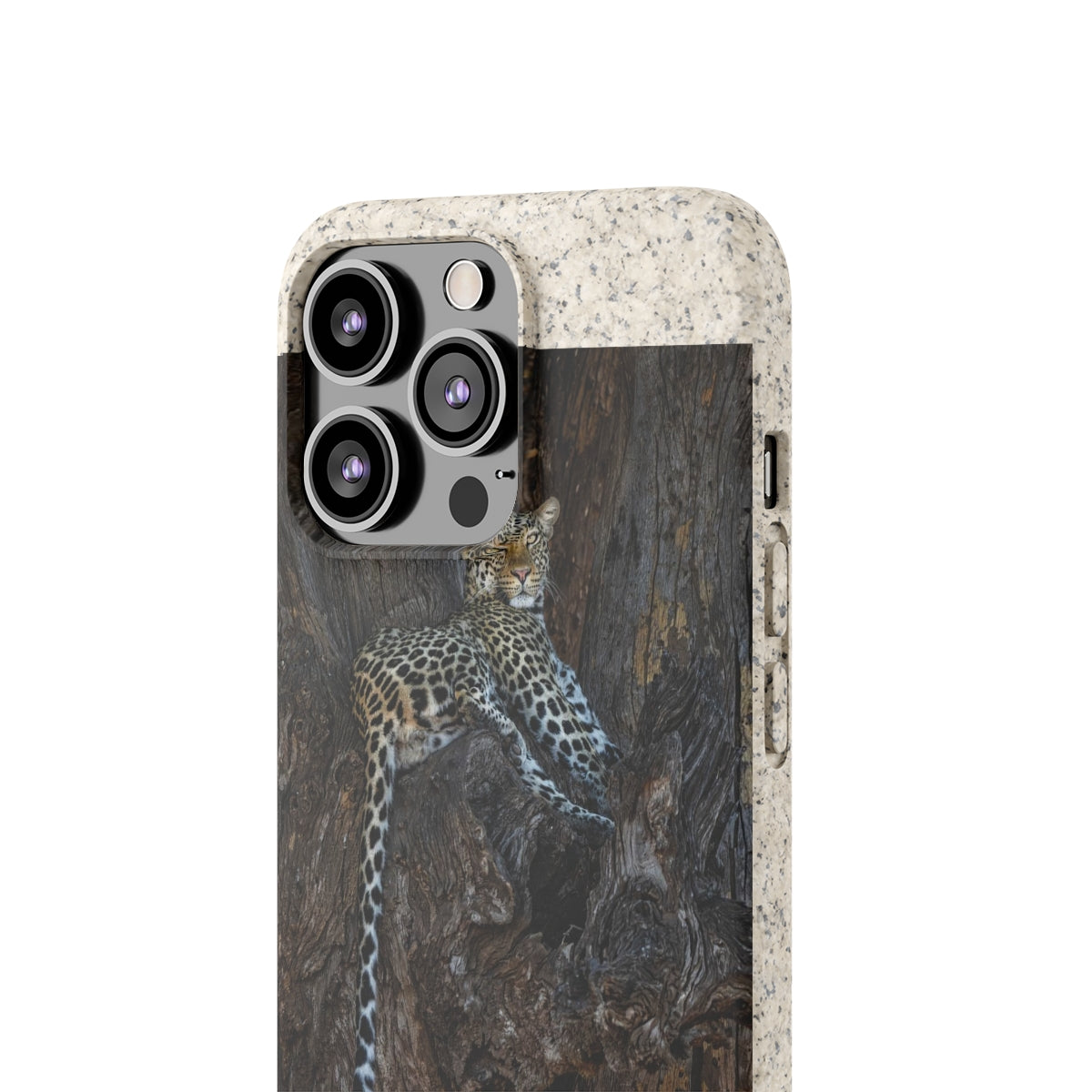 Biodegradable Cases
