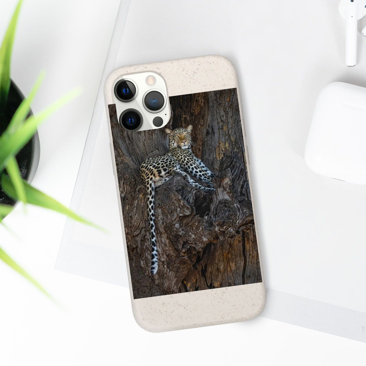 Biodegradable Cases