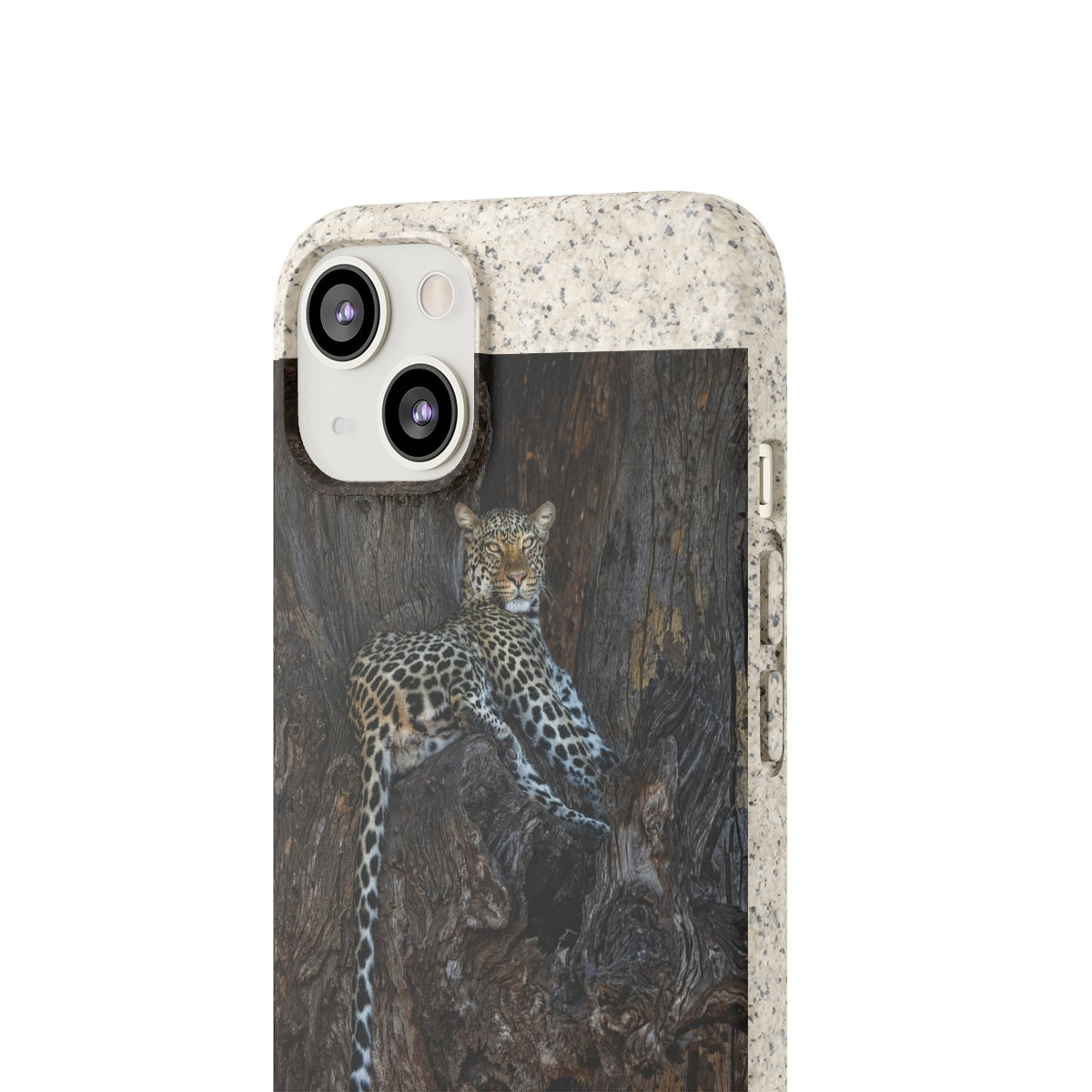 Biodegradable Cases