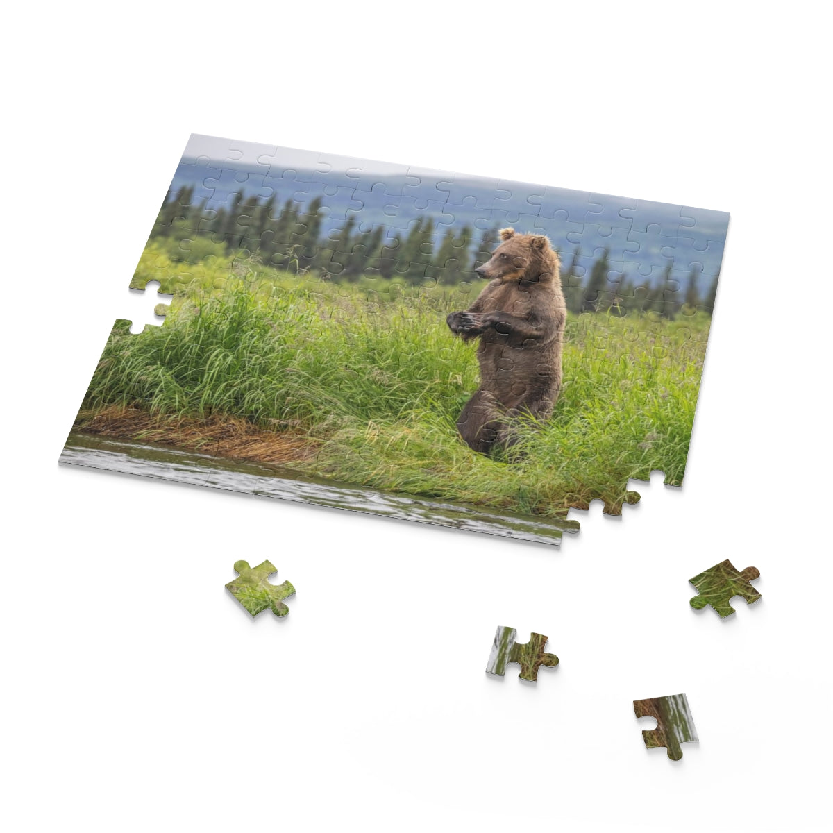 Puzzle (120, 252, 500-Piece)