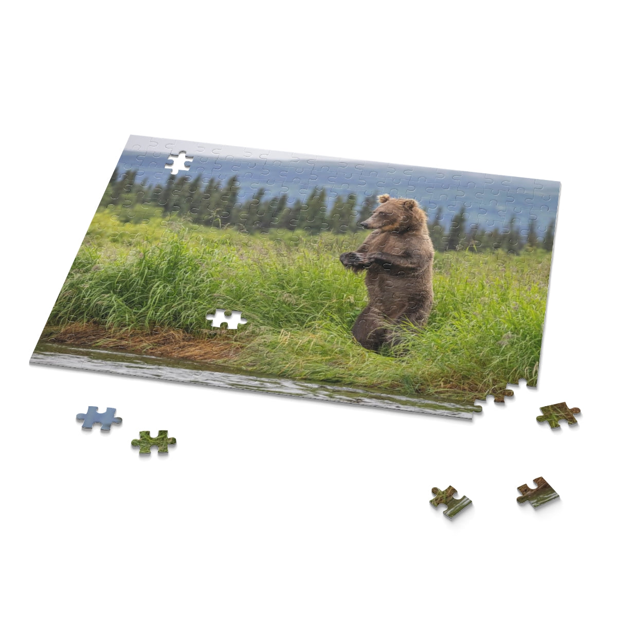 Puzzle (120, 252, 500-Piece)