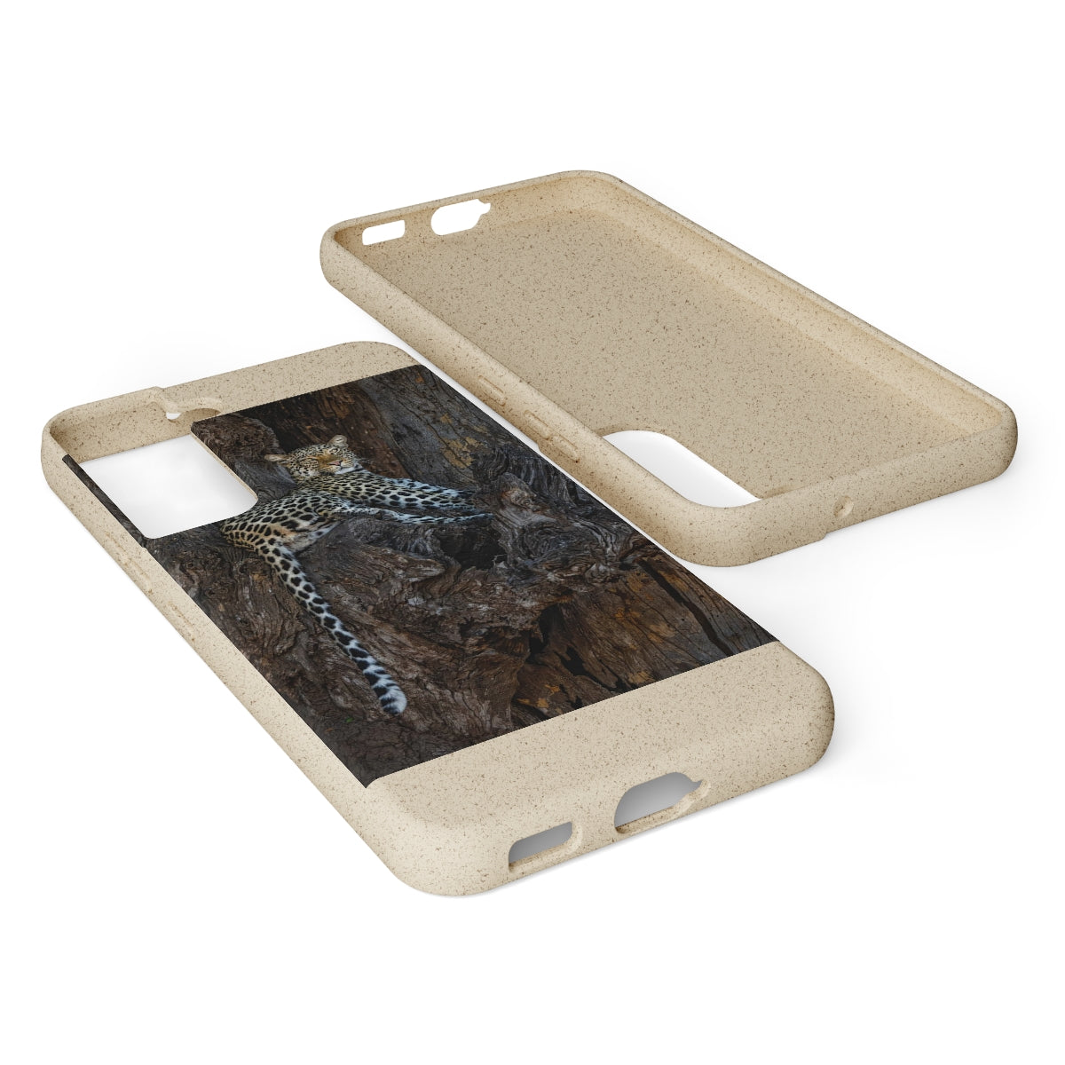 Biodegradable Cases